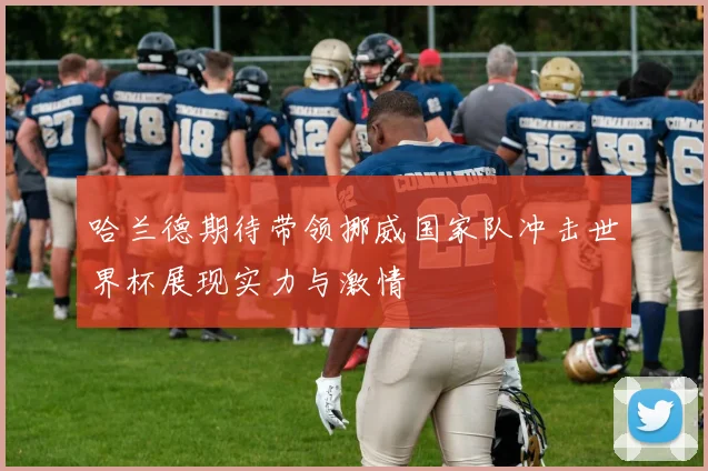 哈兰德期待带领挪威国家队冲击世界杯展现实力与激情