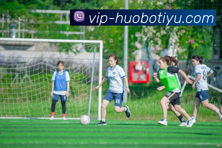 火博体育发展历程